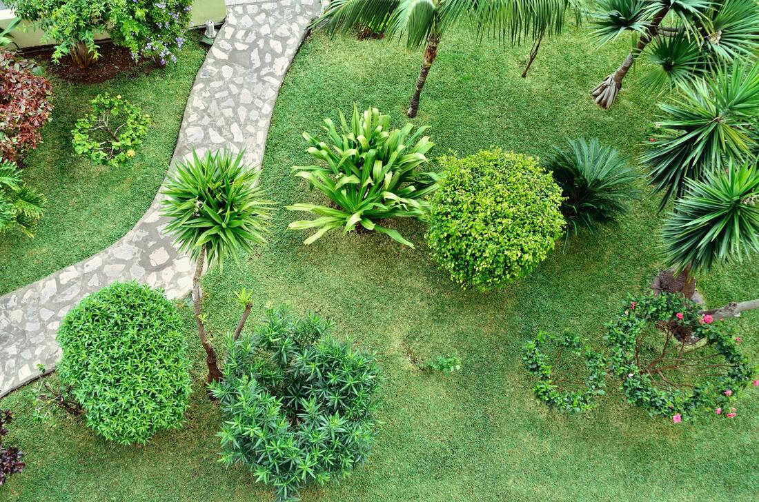 a green landscape backyard